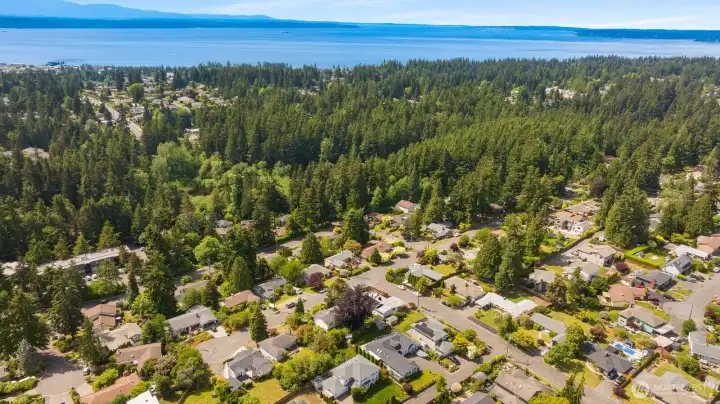 Olympic mountains and Sound to the west. Walk north past 2 homes, then go left a half block to the entrance of Pine Ridge Park. Well maintained forested trails for a short hike in nature. Olympic mountains and Sound to the west. Walk north past 2 homes, then go left a half block to the entrance of Pine Ridge Park. Well maintained forested trails for a short hike in nature.