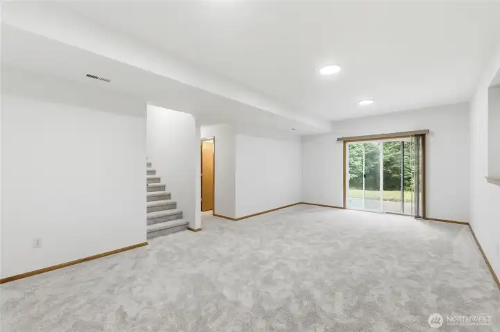 Basement Rec room