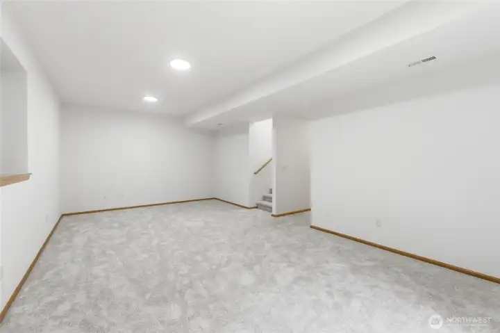 Basement Rec Room