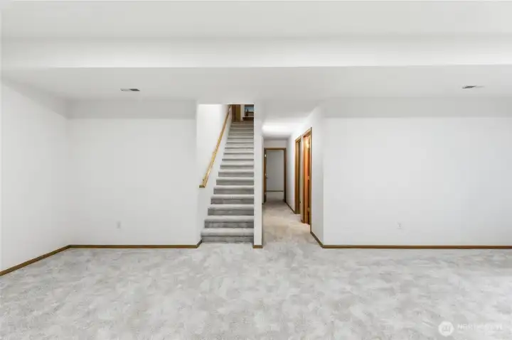 Basement Rec Room