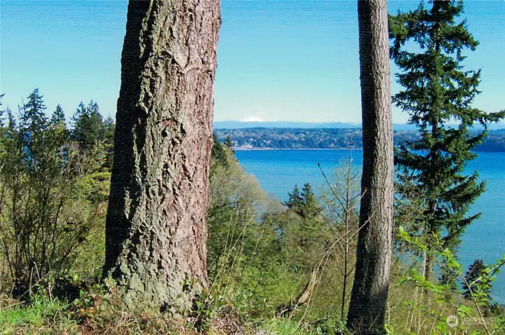 View to North, Mt. Baker