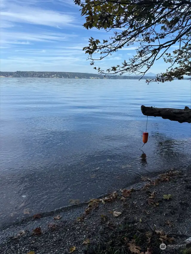 Beautiful Beach on Port Susan