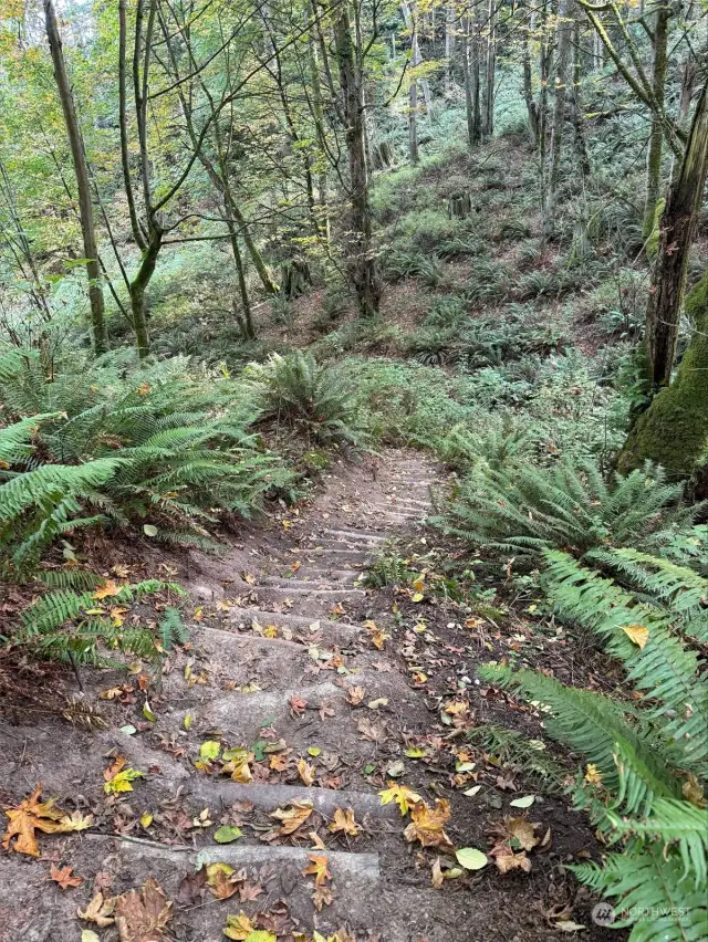 Trails through the 29 acres of common area