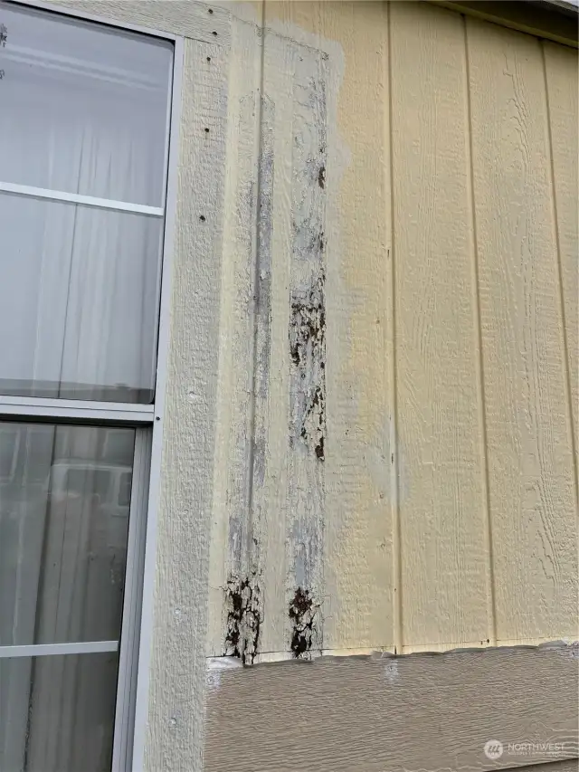 Left side of house needs repair/ paint touch ups