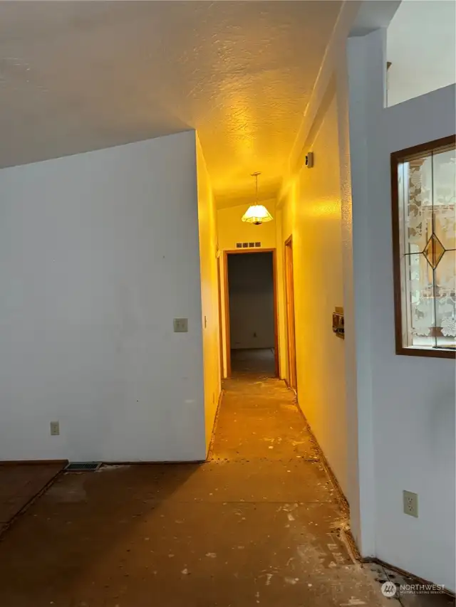 Hallway - All carpet in house has been removed and needs replacing. Some of the subflooring needs to be replaced as well.