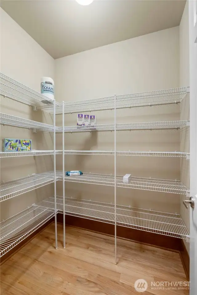 Oversized kitchen pantry with shelving.