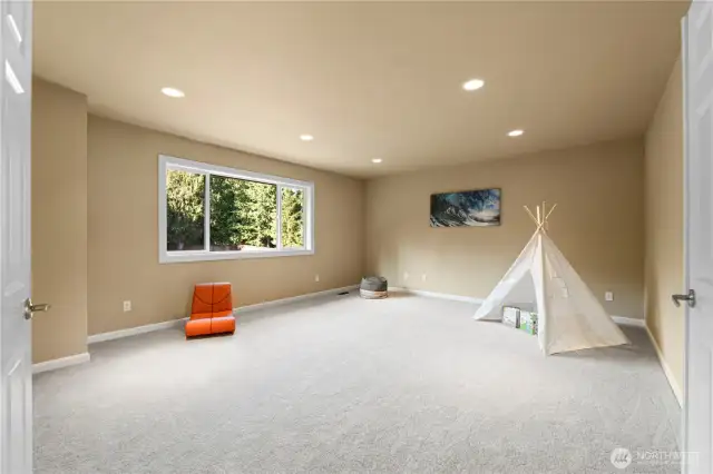 Large Bonus Room
