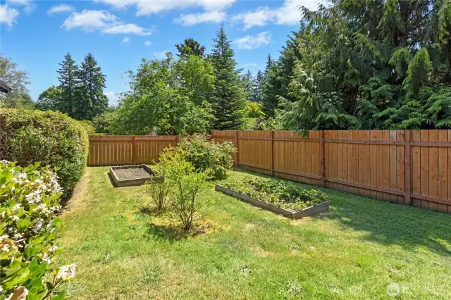 Sunny garden beds and flowering trees on the side of the yard.