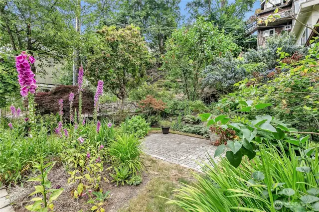 Neighborhood public staircase allows quick access to Lake Washington, Seward Park and Columbia City.