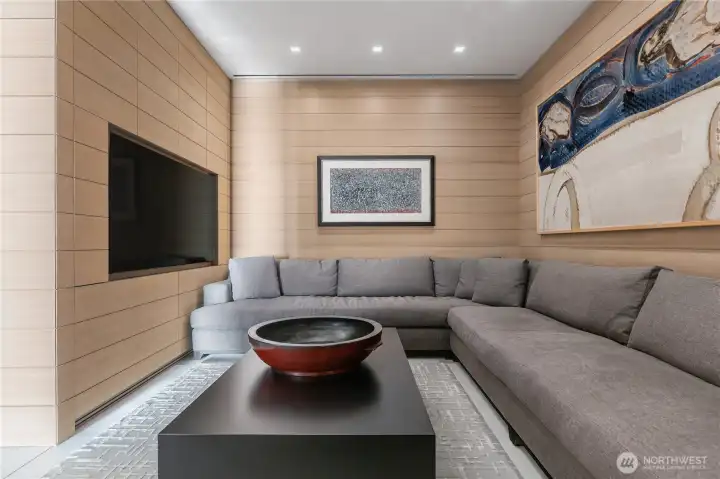 TV room with built in storage.