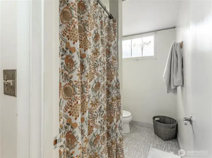 lower level bathroom