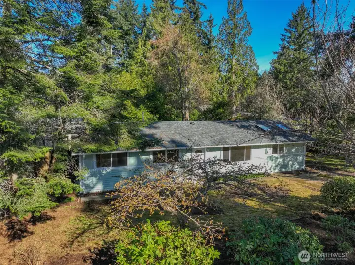 Mature trees help with privacy from your neighbors.