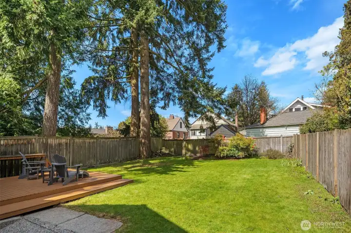 Spacious, Quiet, Fenced Backyard