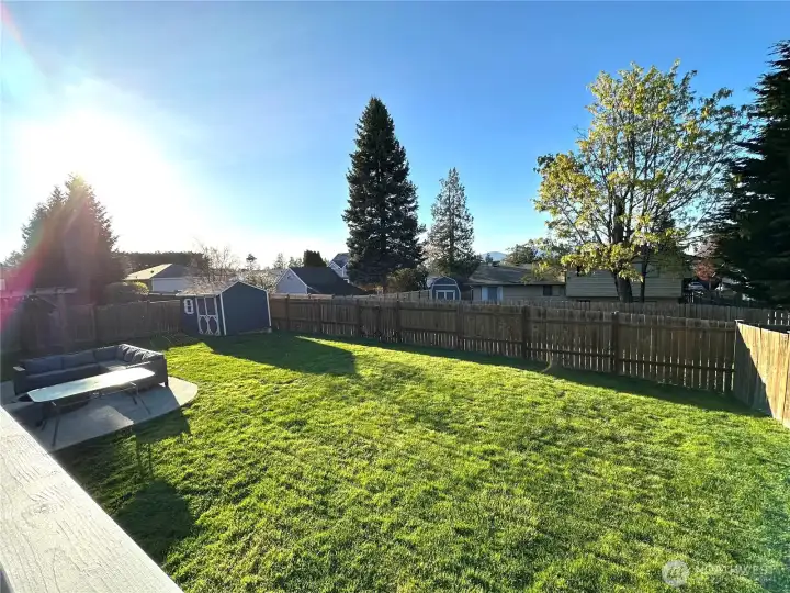 Backyard Backyard