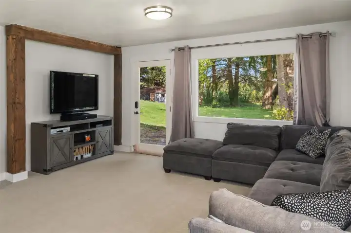 Lower level living room