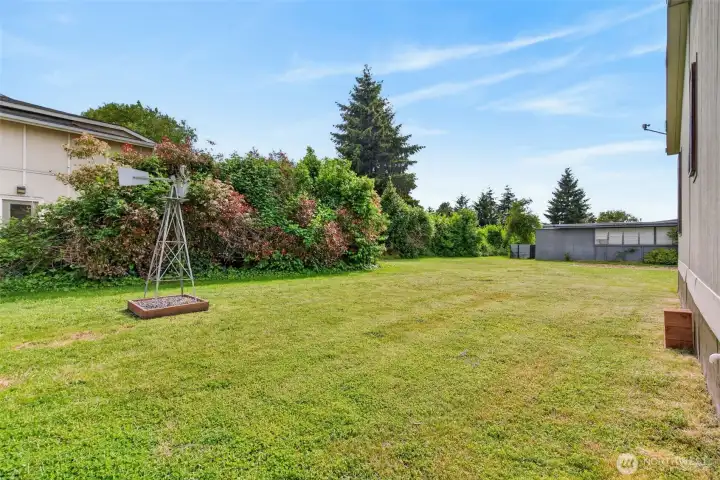 Windmill/Right Side Yard