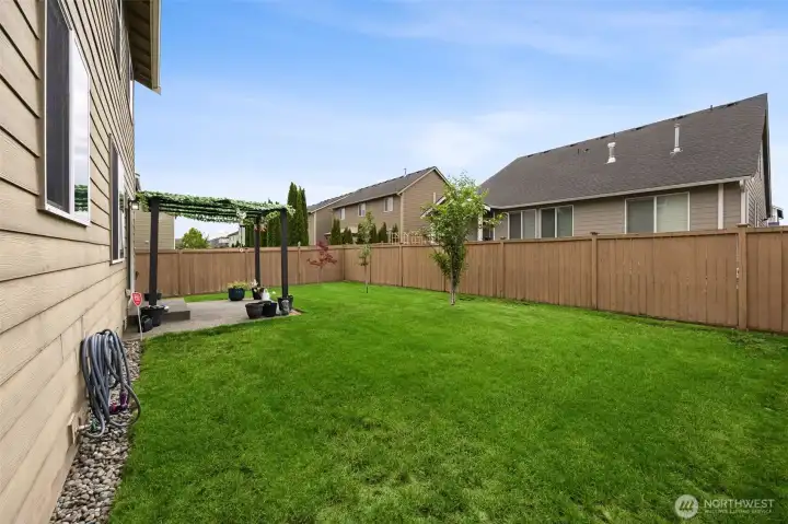 Large backyard