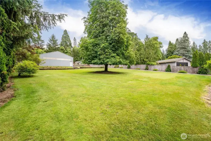 Spacious backyard on nearly an acre Spacious backyard on nearly an acre
