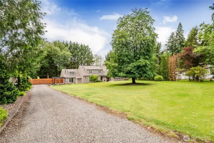 Fantastic backyard perfect for entertaining Fantastic backyard perfect for entertaining