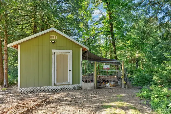 Chicken Coop- Chickens can stay