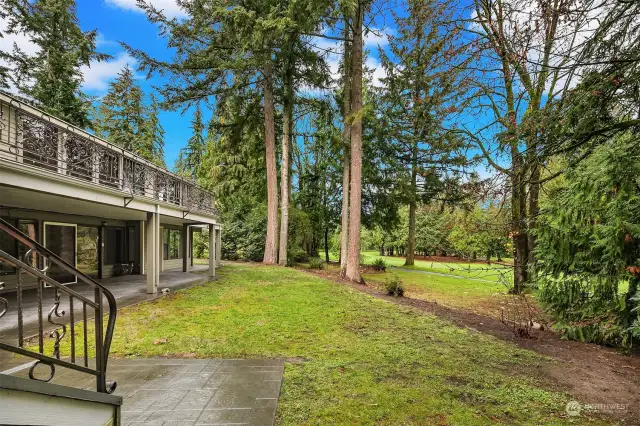 Outdoor area in rear yard