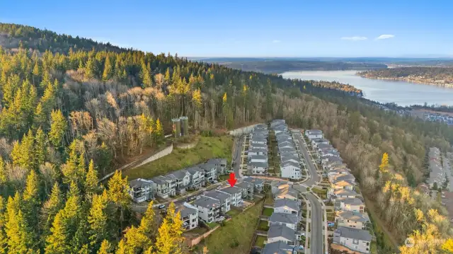 Perched above Lake Sammamish and the state park with close freeway access. Feel so far away from it all yet access to everything!