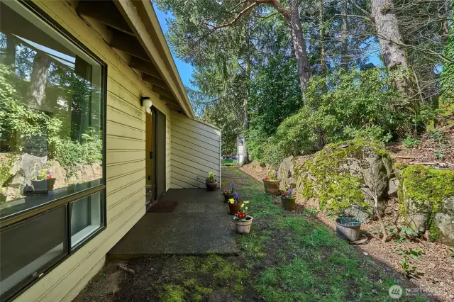 Another view of backyard.