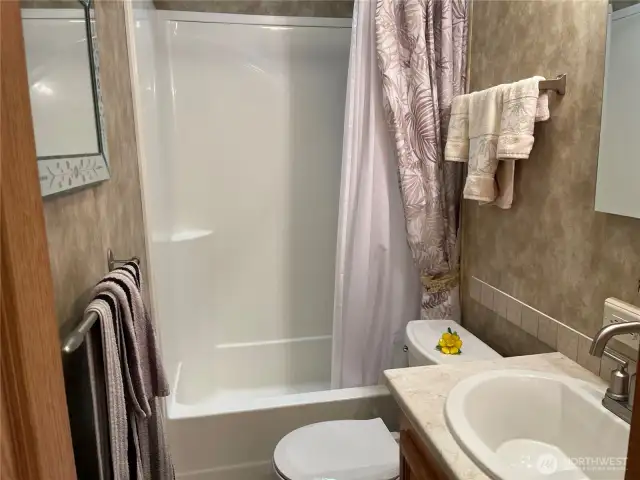 The primary full-size bathroom.