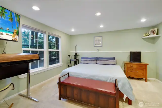 Bedroom #3, lower level