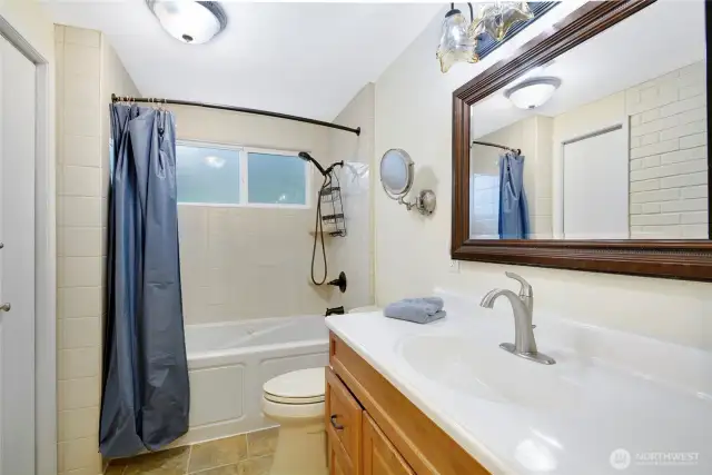 Lower level full bath