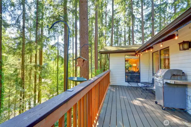 Wooded deck view