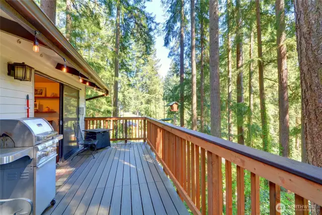 Huge entertaining-sized deck off Dining Room w/Trex decking