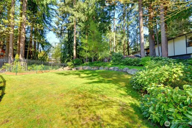 Front/side yard w/garden space