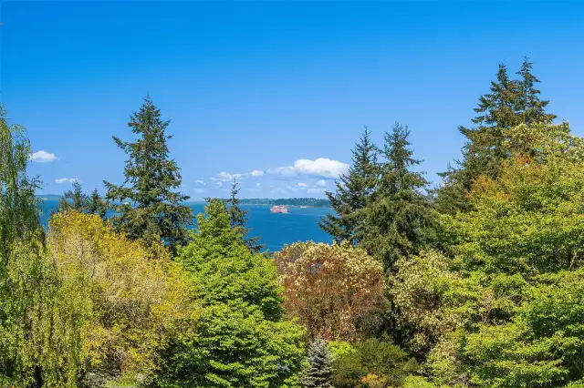 Watch freighters move through the Puget Sound or the ferry move back and forth to Vashon from Fauntleroy. On a crystal clear day, you can see the Seattle skyline.