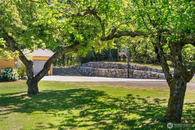Love this view through the orchard. Check out the sturdy rock wall!