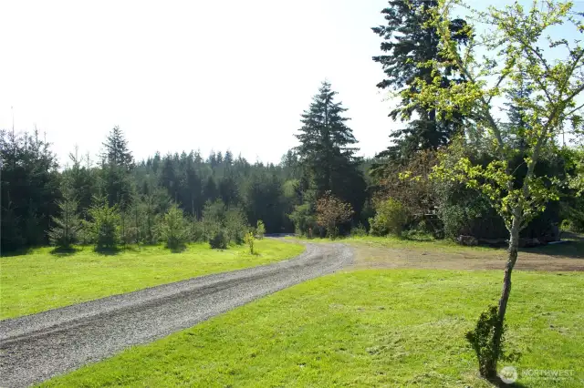 Driveway