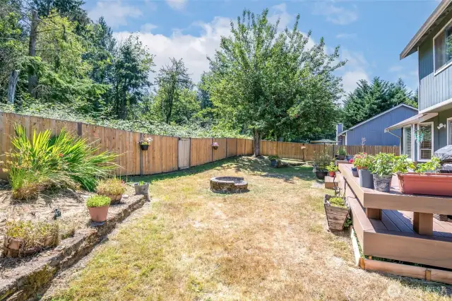 Level backyard.