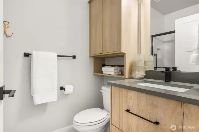 downstairs guest en suite