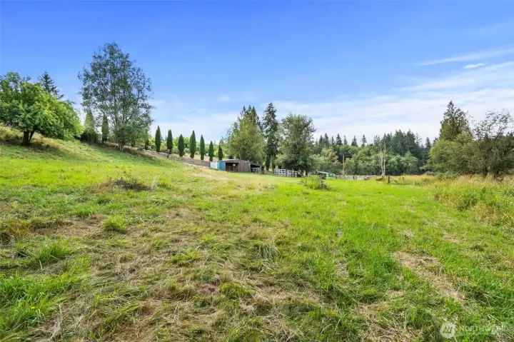 PASTURE