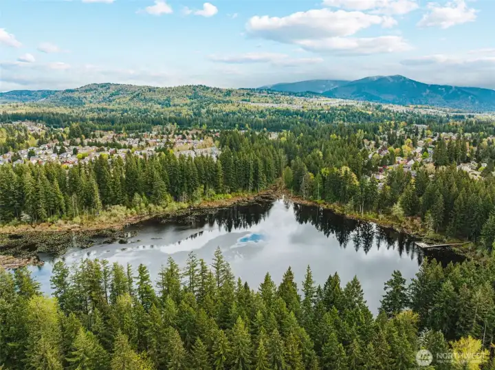 Yellow Lake in Klahanie, which offers trails to walk and a dock to watch the ducks!