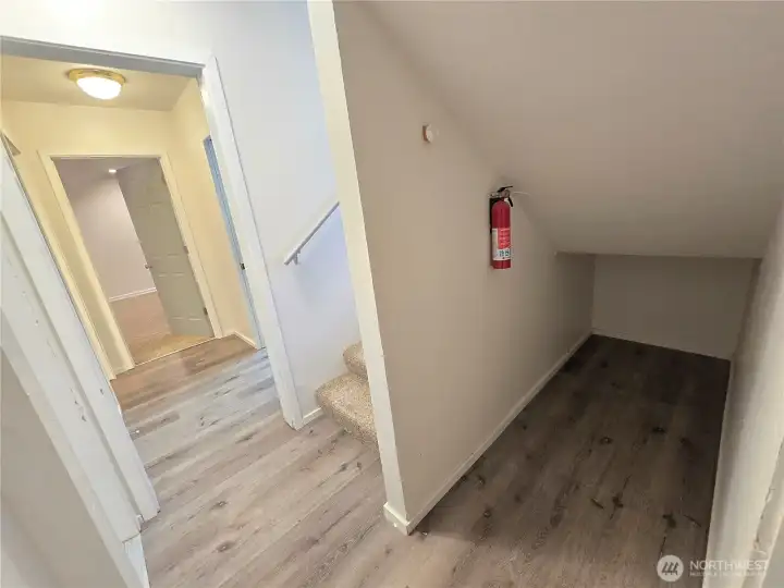Extra Storage Downstairs