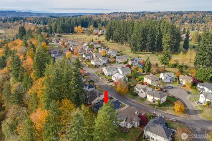 Close to Town and Activities