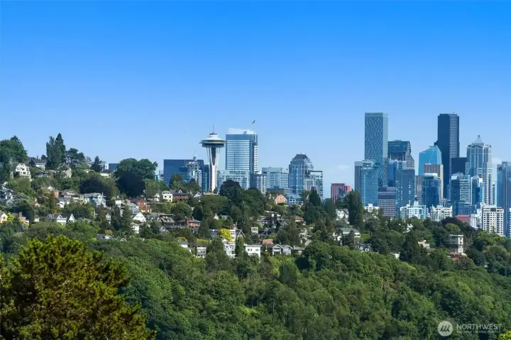 Example of the fantastic Seattle skyline views.