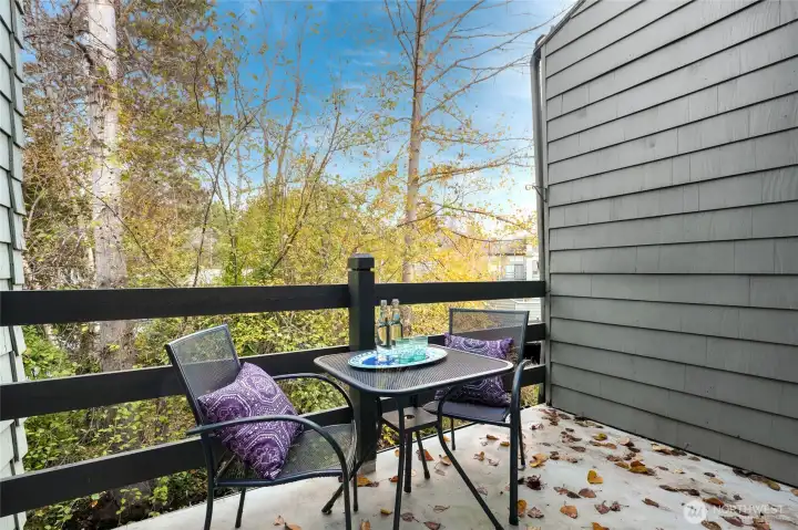 Main floor outside deck suitable for entertaining propane, barbecue allowed