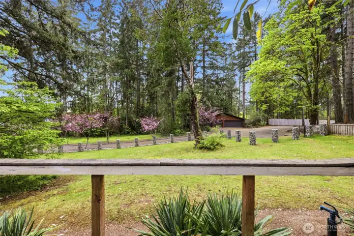 View of the grounds from the cottage deck.