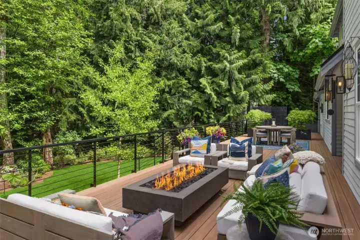 Massive top end Azek composite decking and custom metal railings, complete with undermount lighting.