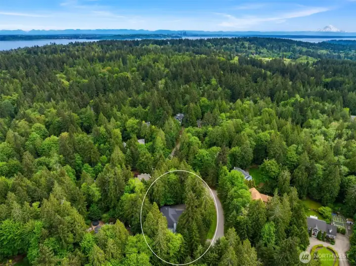 Best of Bainbridge ! Large lots in a cul de sac community and neighborhood setting.