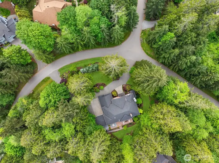 Welcome home to the Best of Bainbridge !
