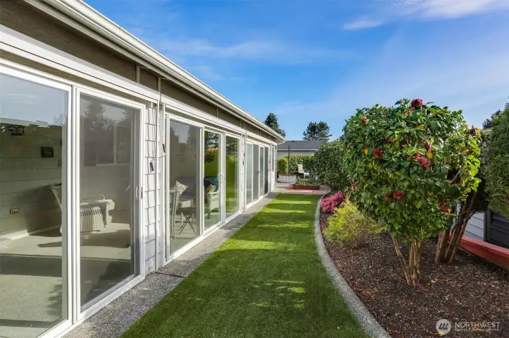 West side yard view of the sun room and bonus room (blinds are up) with a wall of windows, side yard is no mowing artificial turf and raised garden beds.