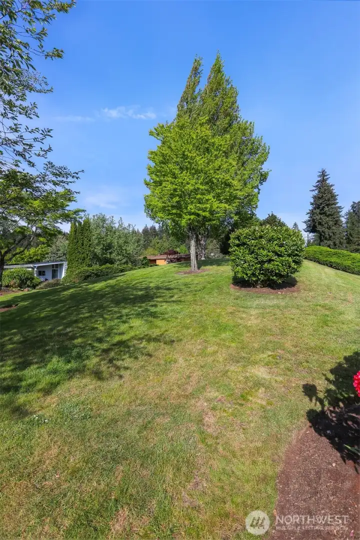 Community Greenbelt adjacent to the Northeast corner of the home